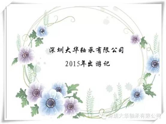 大華軸承2015年出游記